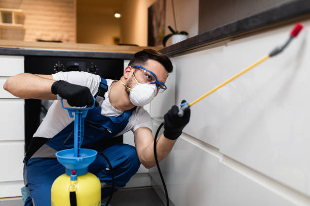 Best Pest Inspection Near Me  in Halsey, OR