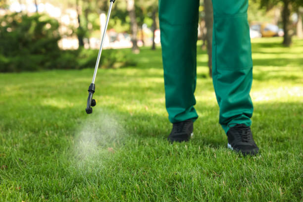 Best Pest Prevention Services  in Halsey, OR