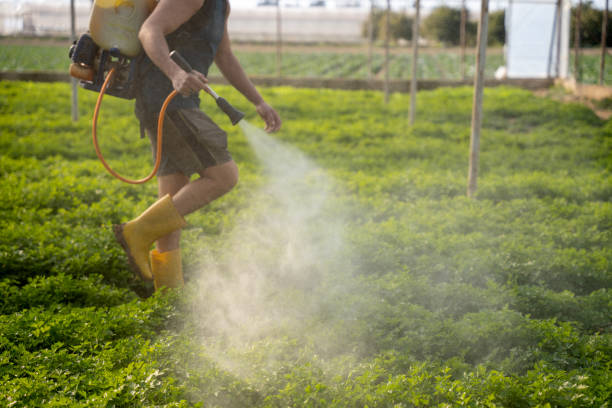 Best Ant Control Services  in Halsey, OR