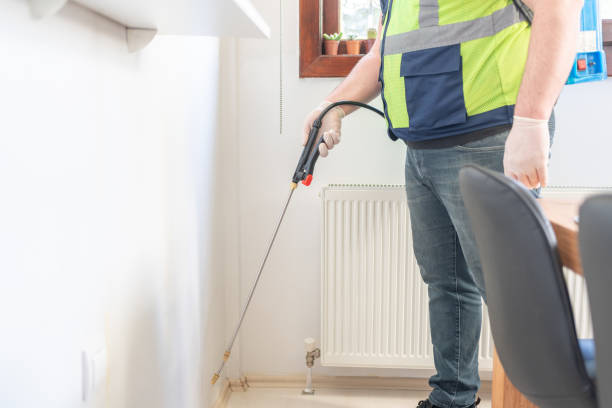 Reliable Halsey, OR Pest Control Solutions
