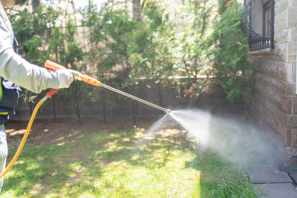 Wasp Removal Services in Halsey, OR