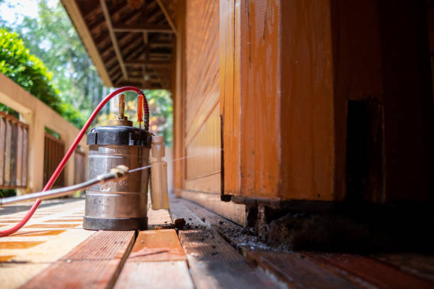 Best Emergency Pest Control  in Halsey, OR
