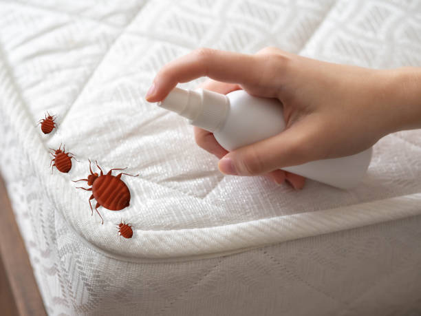 Flea Control Services in Halsey, OR