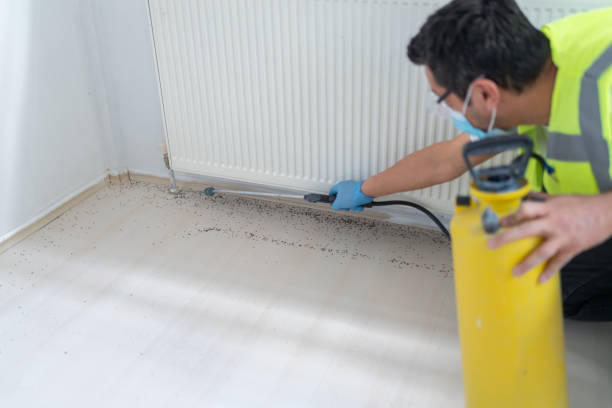 Best Pest Removal Services  in Halsey, OR